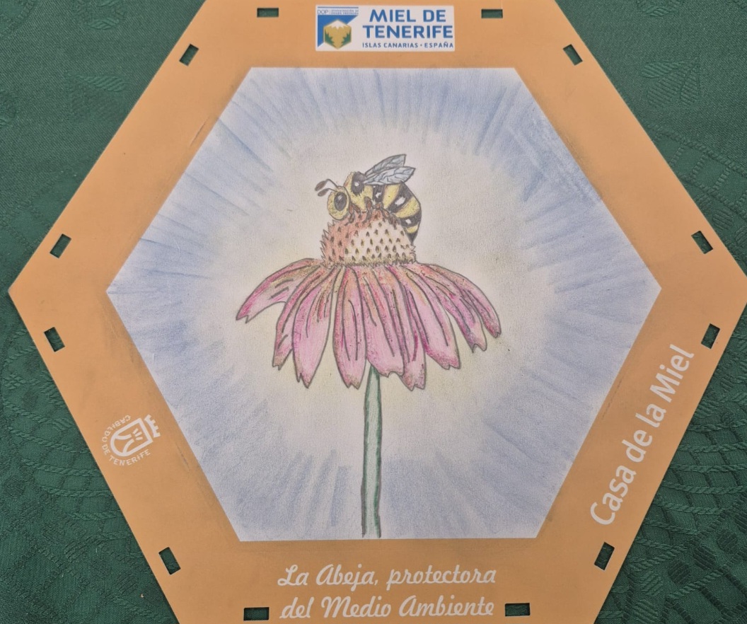 Ganador del concurso