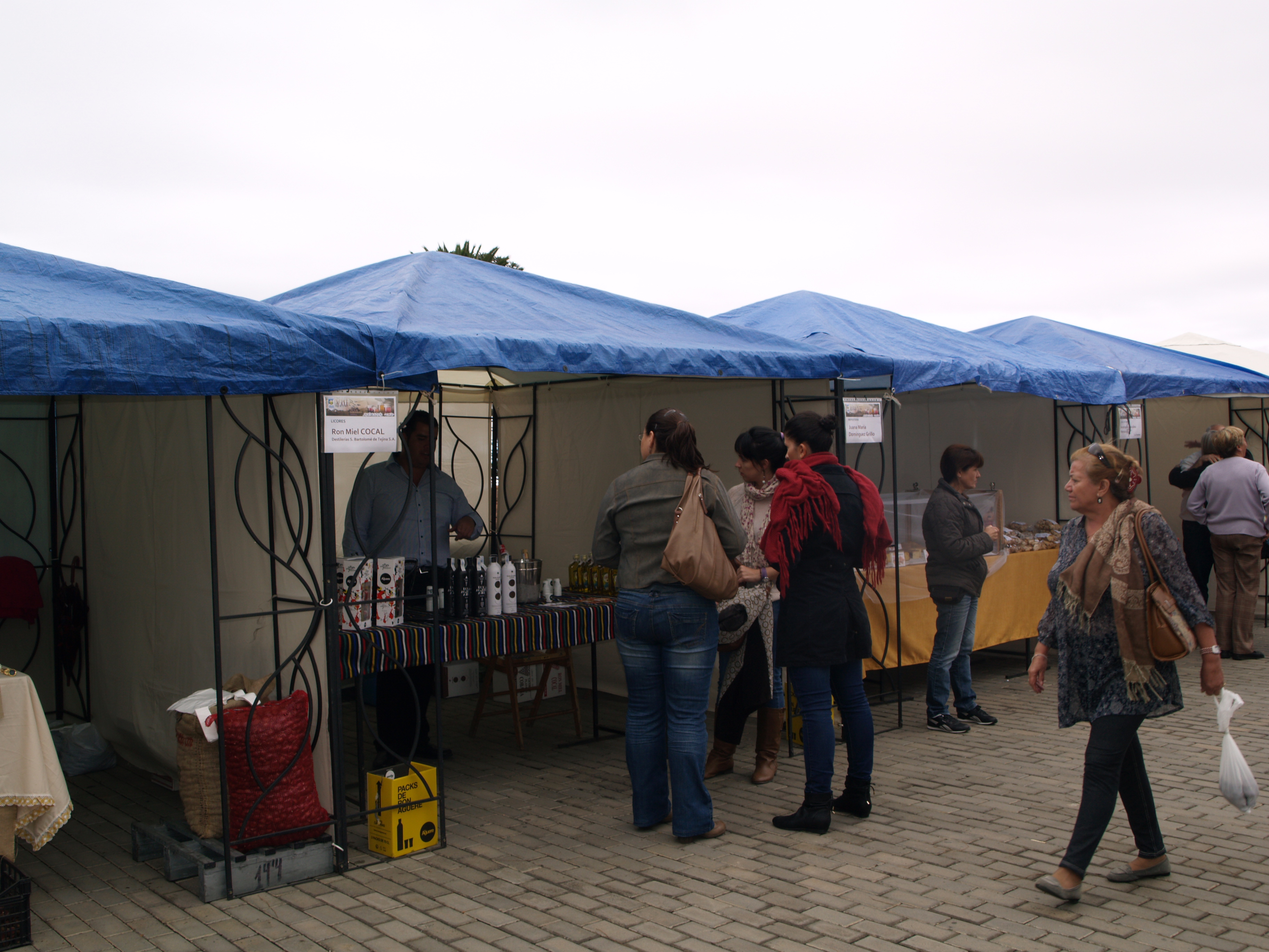 VIII Feria de la Miel de Tenerife, casa de la miel, Apitén