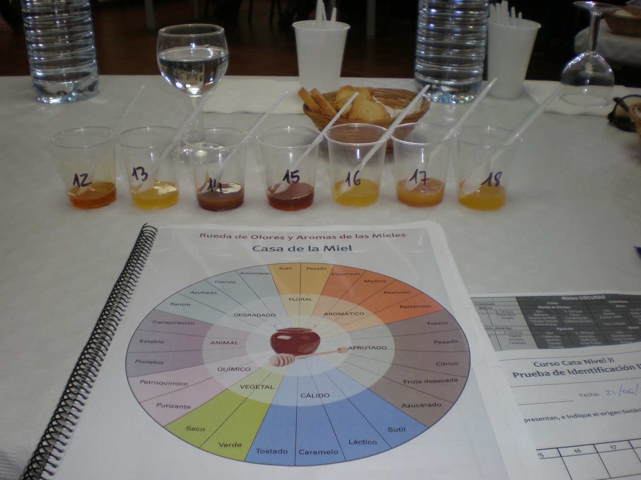 Curso cata de Mieles de Tenerife Curso cata de Mieles de Tenerife